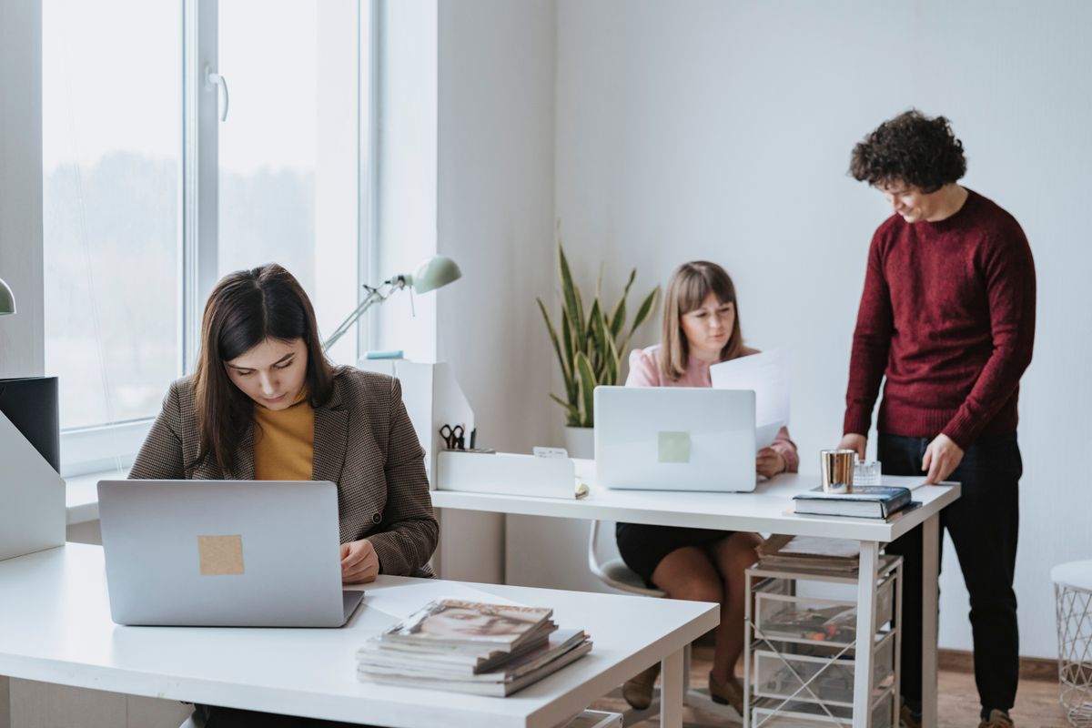 Medewerkers werken samen op laptops in een MKB-kantoor in de Krimpenerwaard